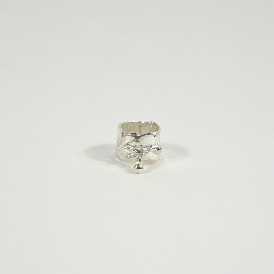 NA207 BEAD RING