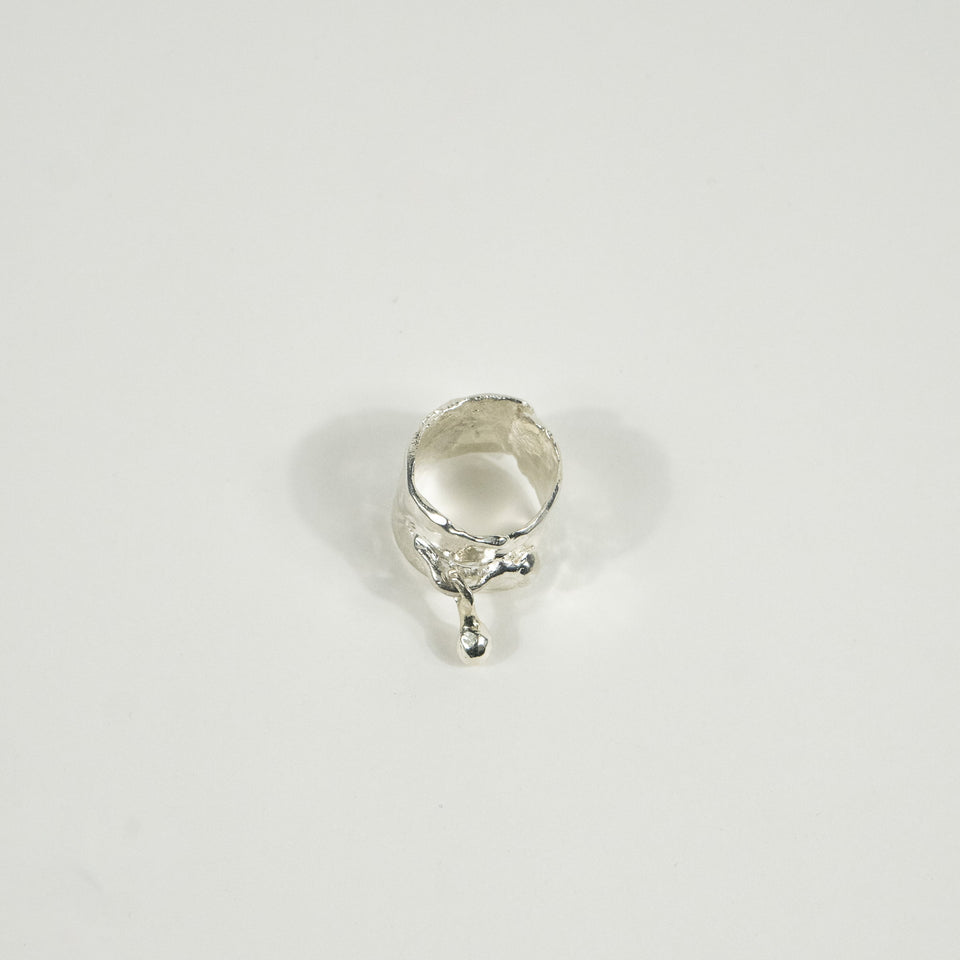 NA207 BEAD RING