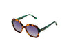 IGGY TEAL TORTOISE