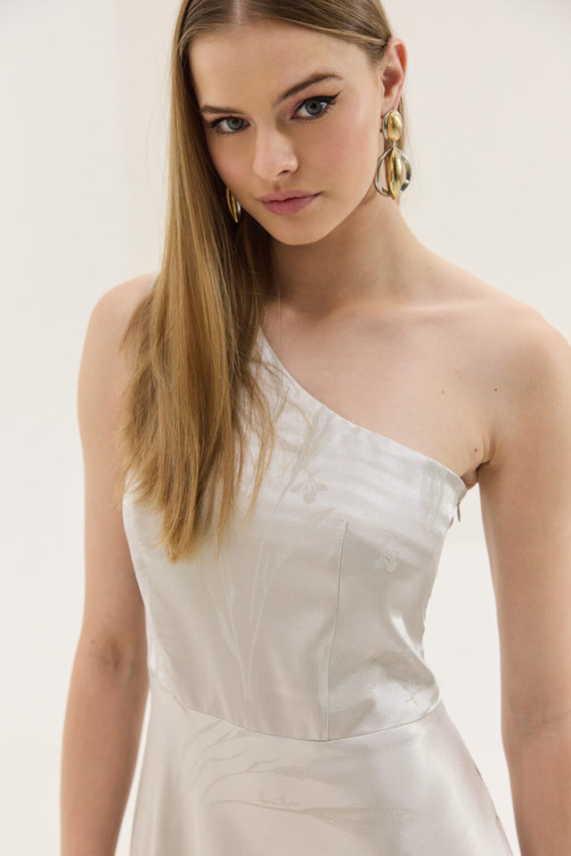 CHARLS DRESS SILVER