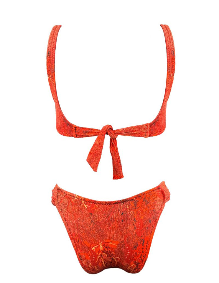 CORAL REEF D CUP BIKINI