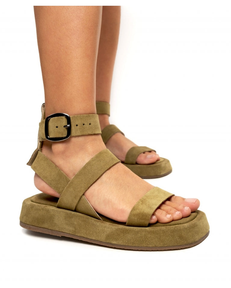 PRASSOVOUNO | OLIVE
