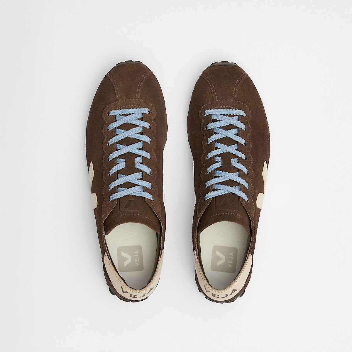 CATEYES SUEDE EAGLE CASHEW