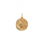 Zodiac Charm